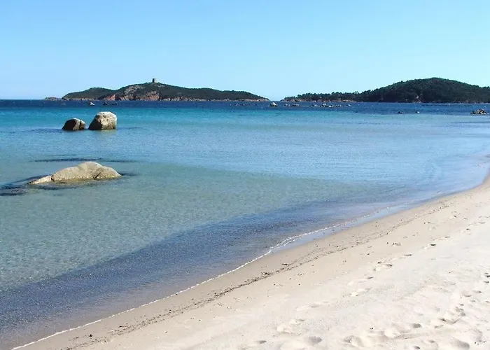 Pinarello Appt T3 De Standing 50m -77 M2 6p Wifi Zonza