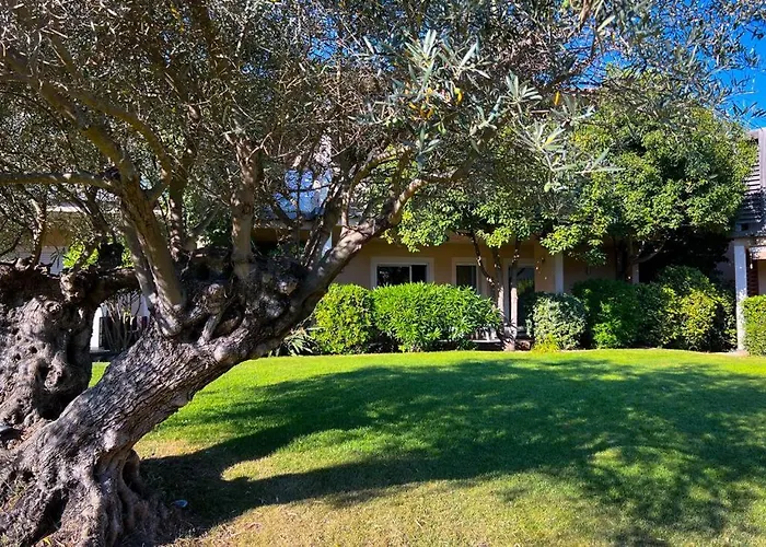 Pinarellu Appt T3 De Standing 50m -77 M2 6p Wifi * Zonza